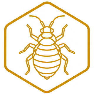 Bed Bug Treatments icon